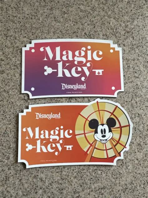 Journey into DisneyLand's Enchanted World: The Magic Key Magnets